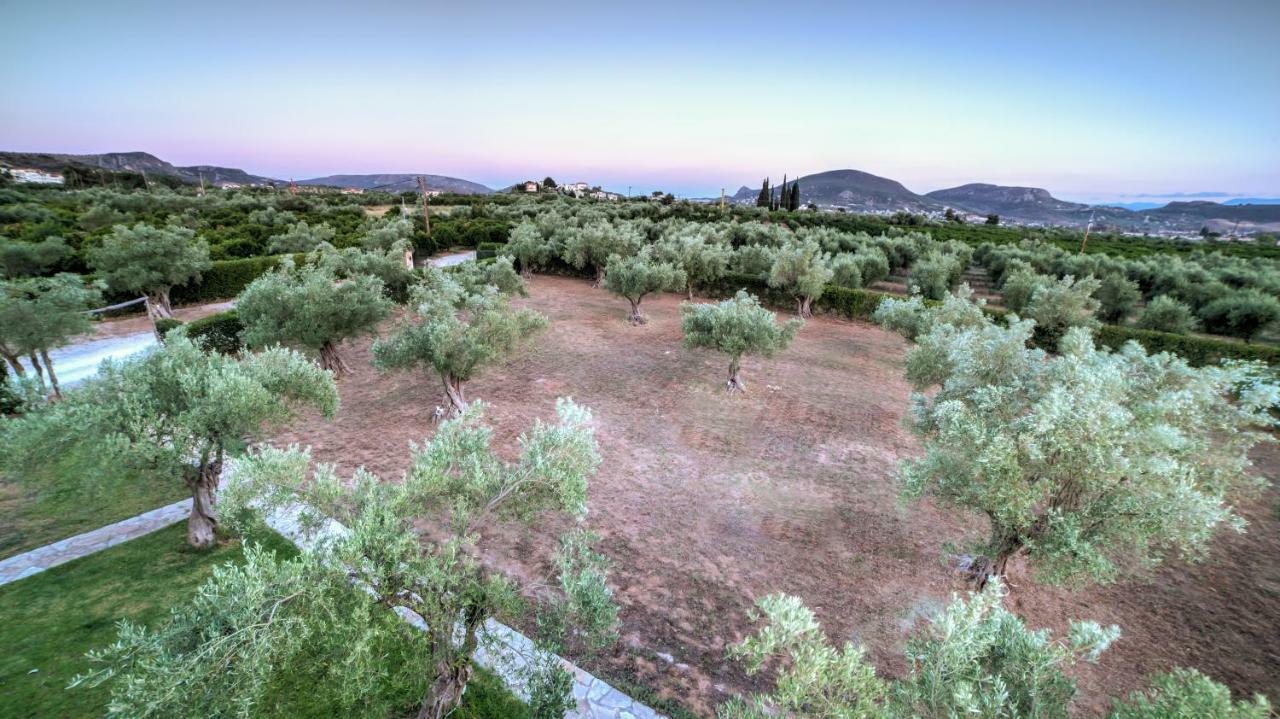 Agroktima Elia Appartement Nauplion Buitenkant foto