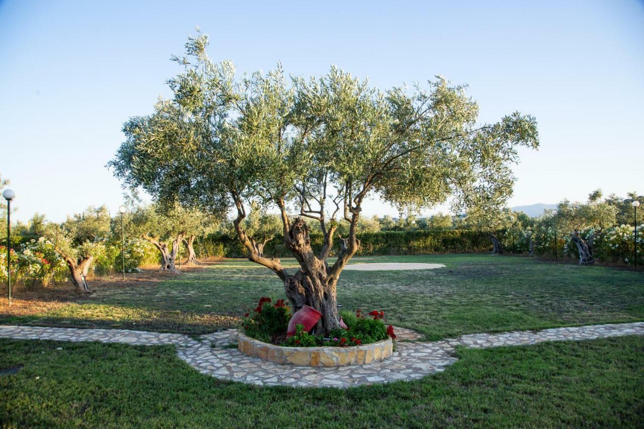 Agroktima Elia Appartement Nauplion Buitenkant foto